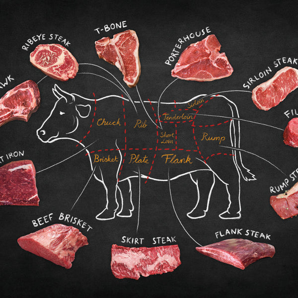 Porterhouse Steak Diagram porterhouse-steak-diagram